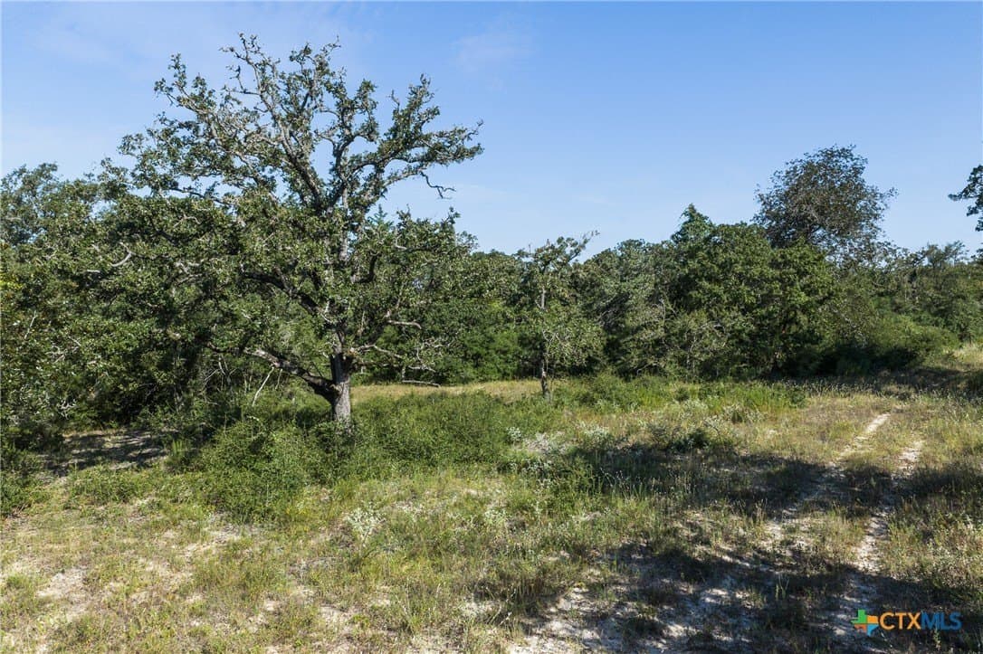 11 acres in Burleson County - photo 10