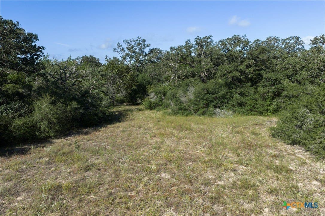 11 acres in Burleson County - photo 6