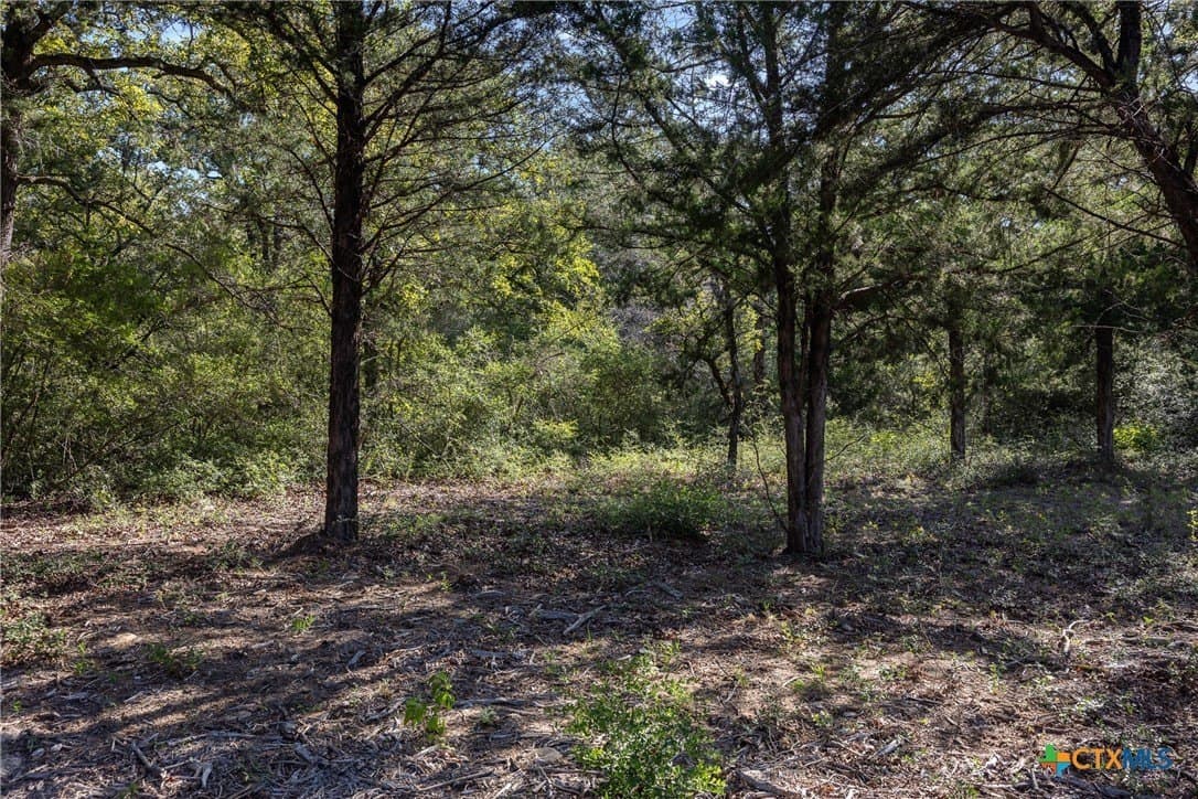 11 acres in Burleson County - photo 5