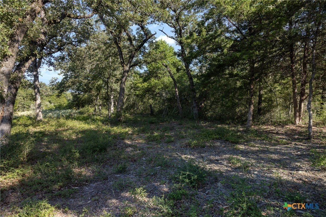 11 acres in Burleson County - photo 4