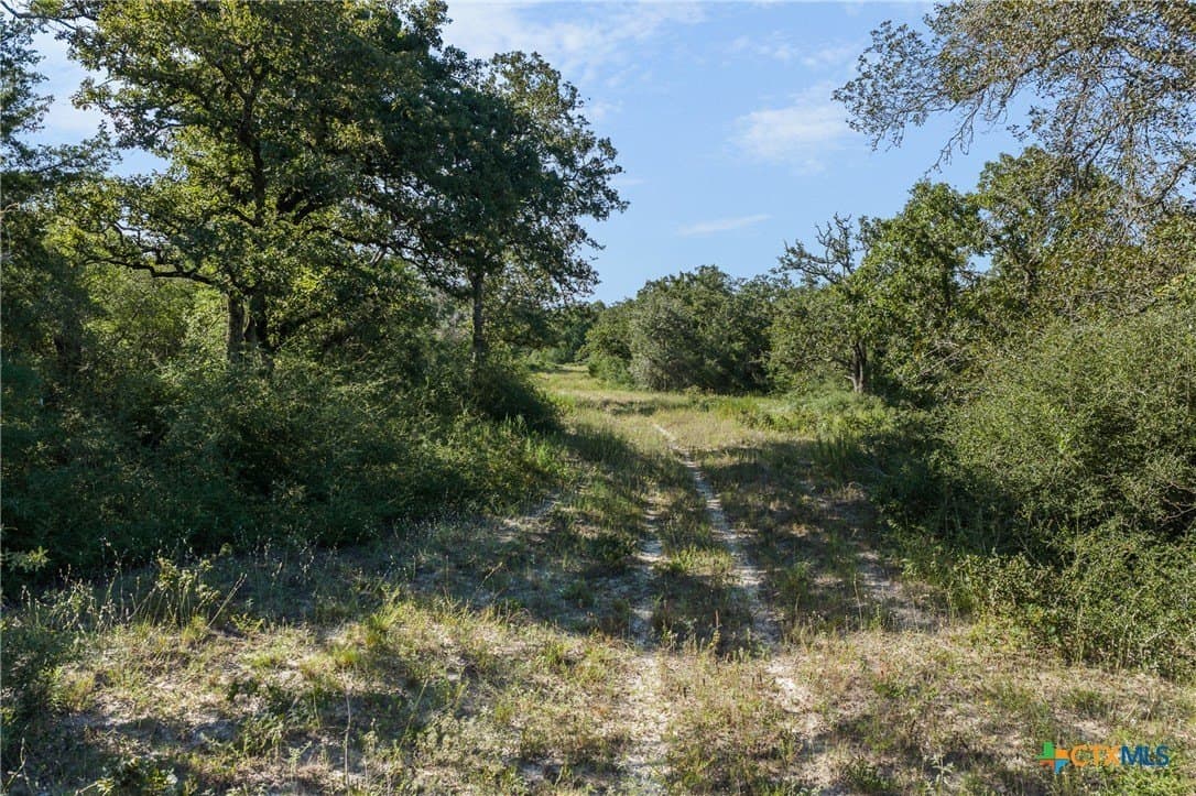 11 acres in Burleson County - photo 11