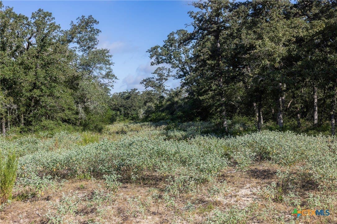 11 acres in Burleson County - photo 2