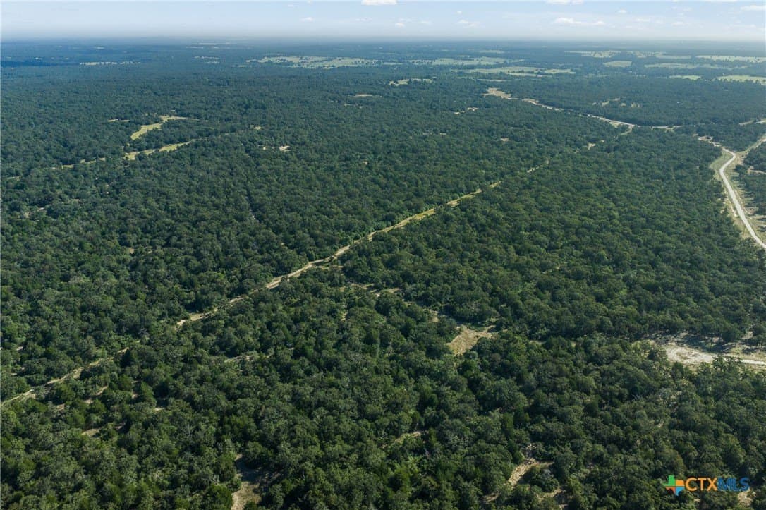 11 acres in Burleson County - photo 14