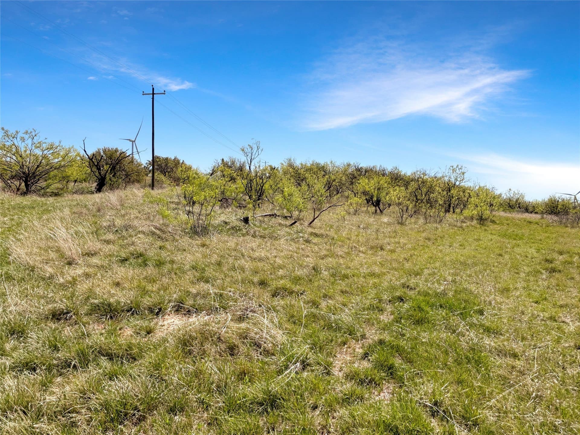 256.34 acres in Eastland County - photo 27