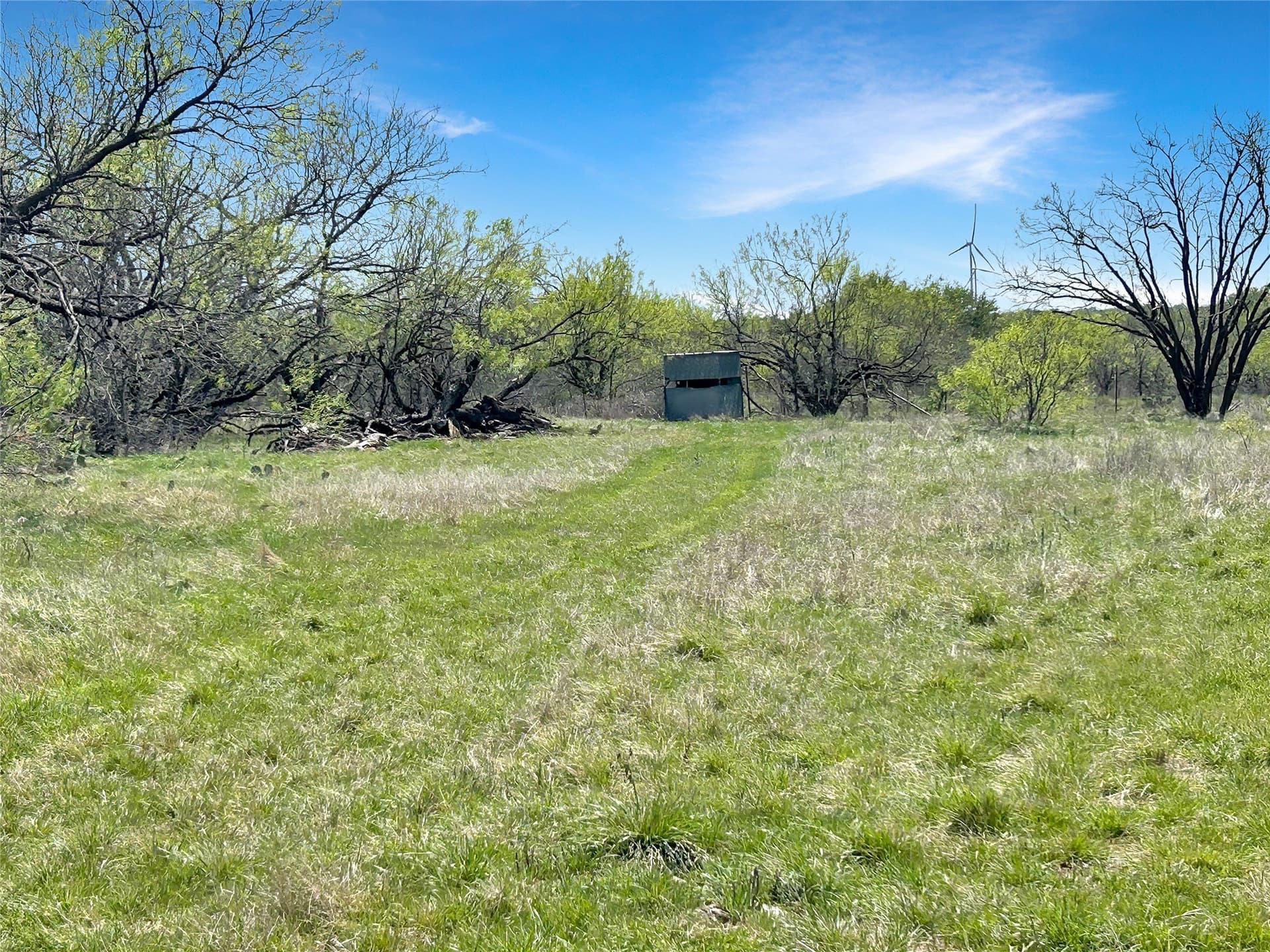 256.34 acres in Eastland County - photo 29