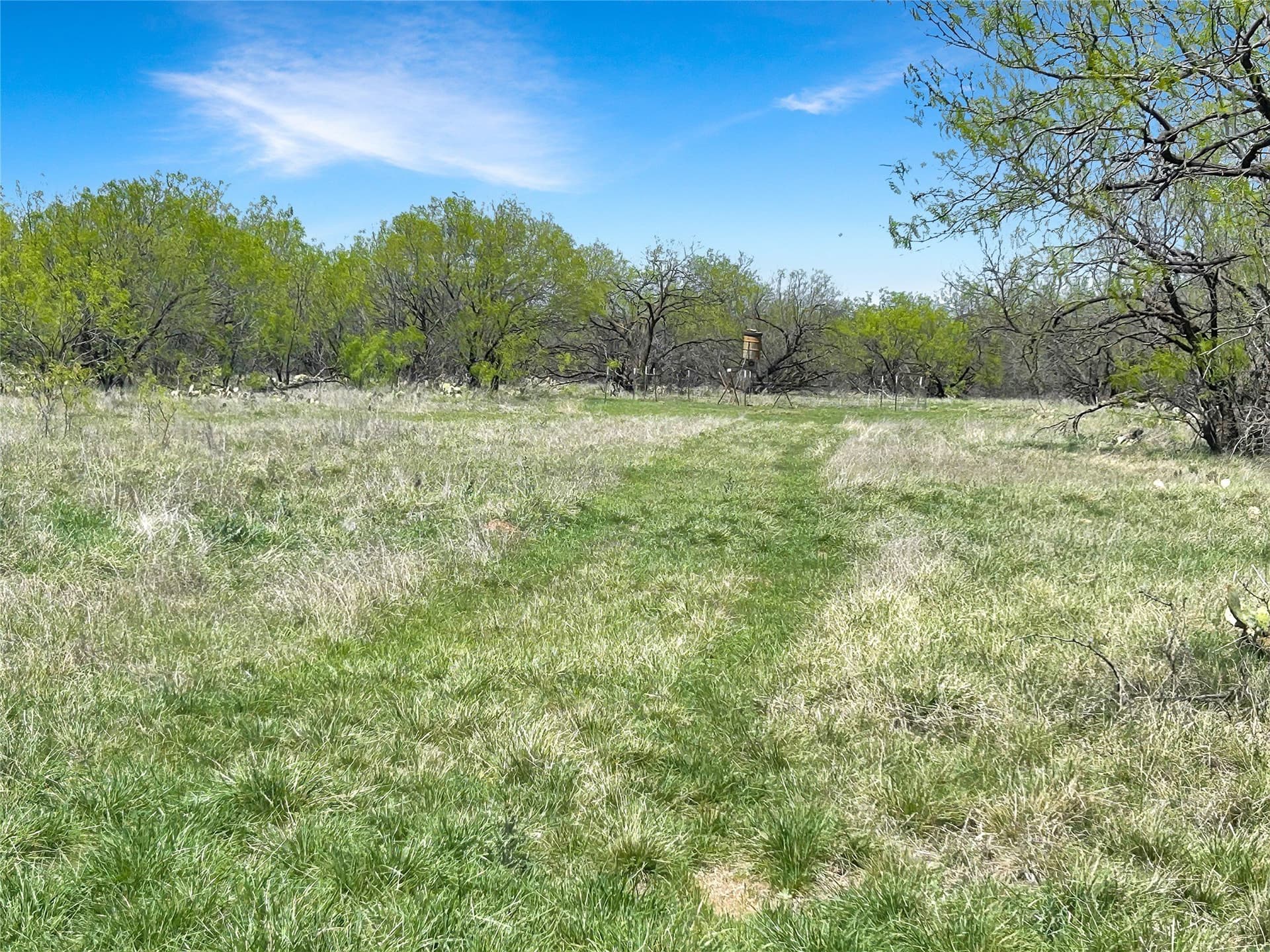 256.34 acres in Eastland County - photo 8