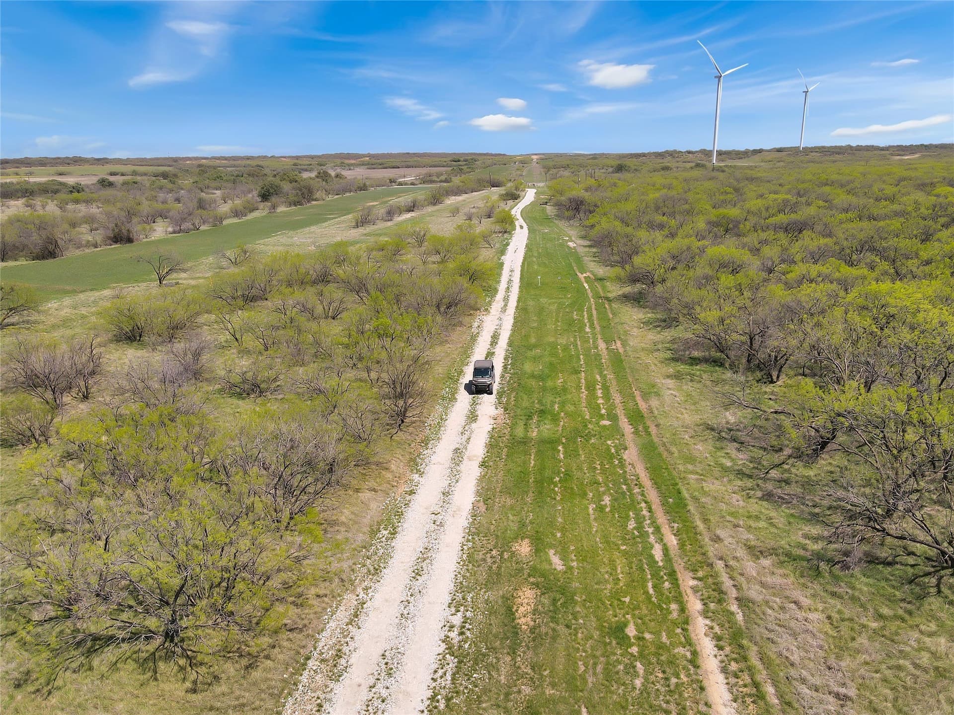 256.34 acres in Eastland County - photo 13