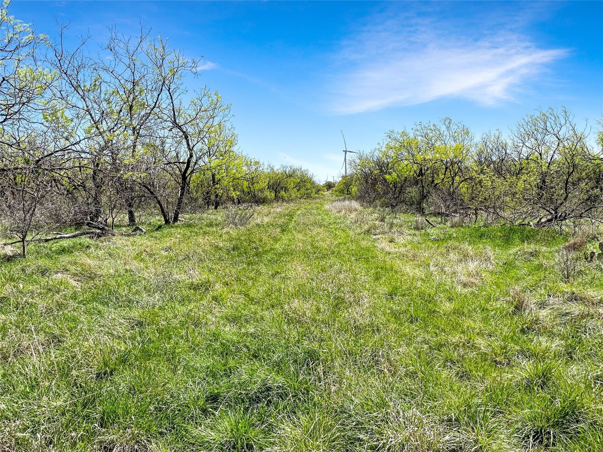 256.34 acres in Eastland County - photo 26