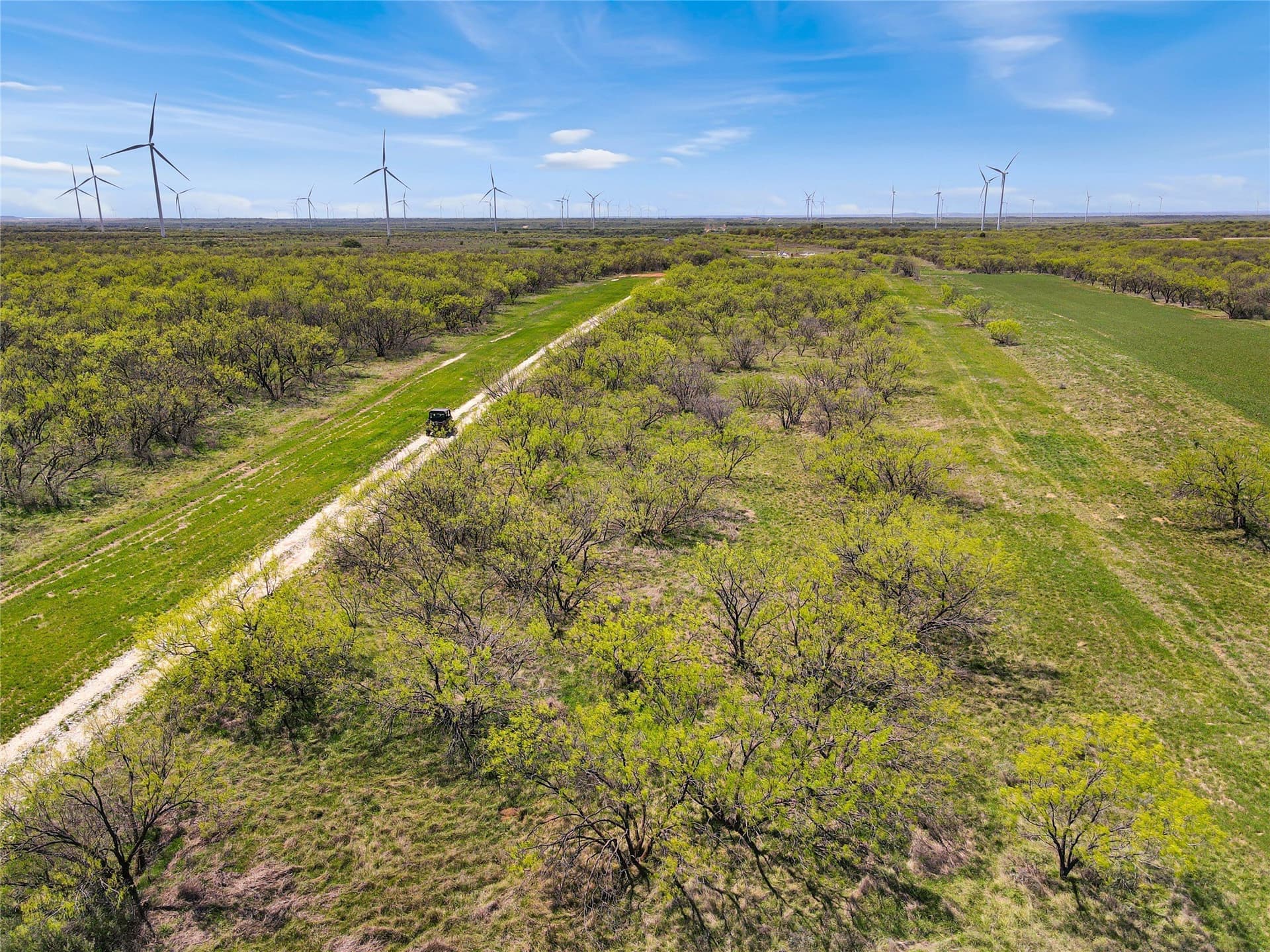 256.34 acres in Eastland County - photo 12