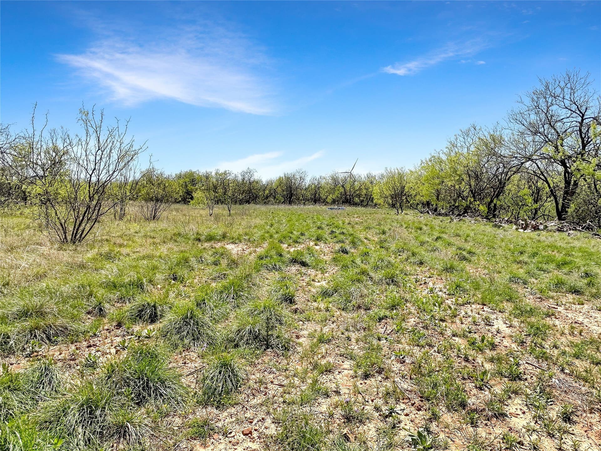 256.34 acres in Eastland County - photo 28