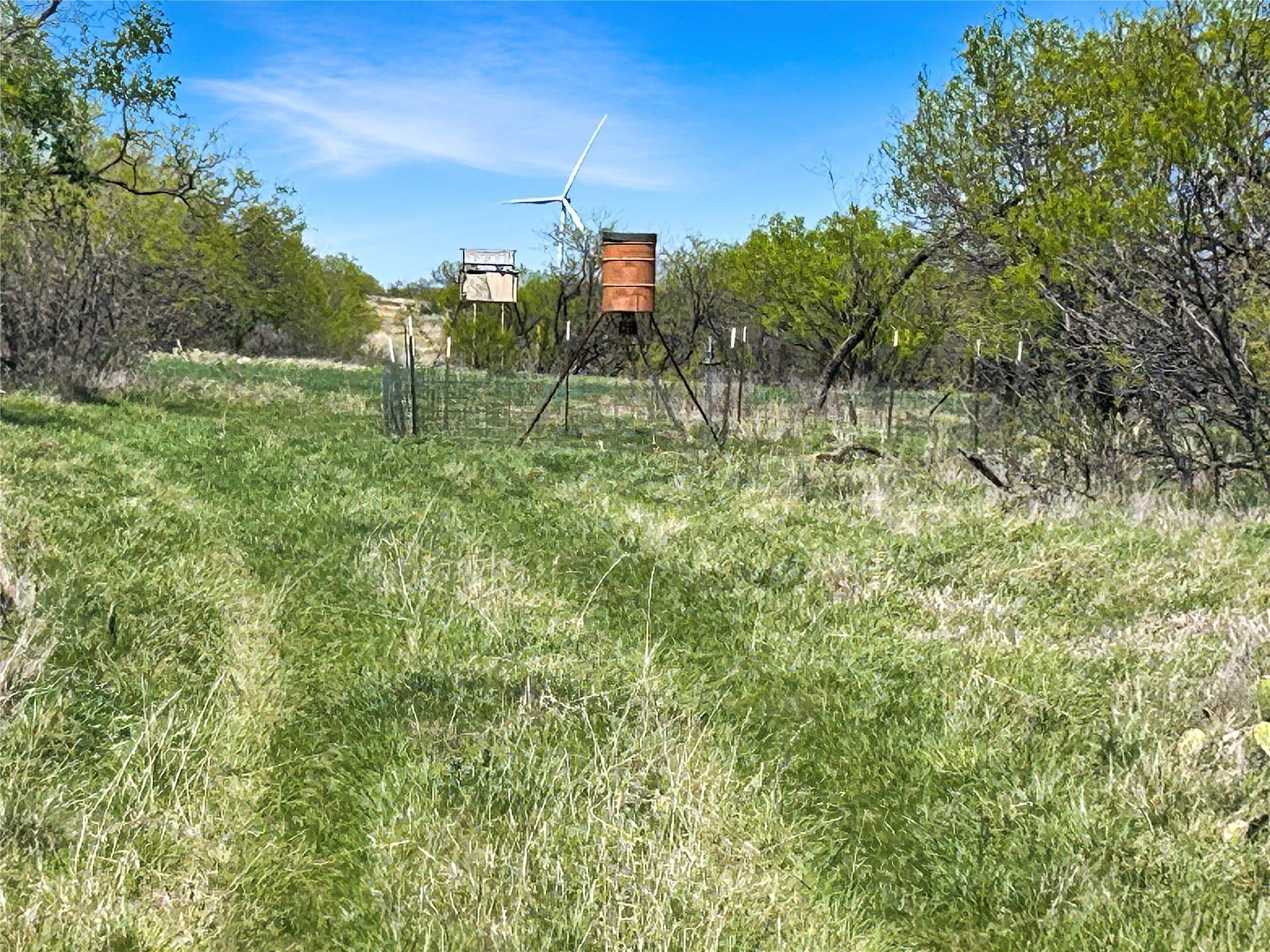 256.34 acres in Eastland County - photo 5