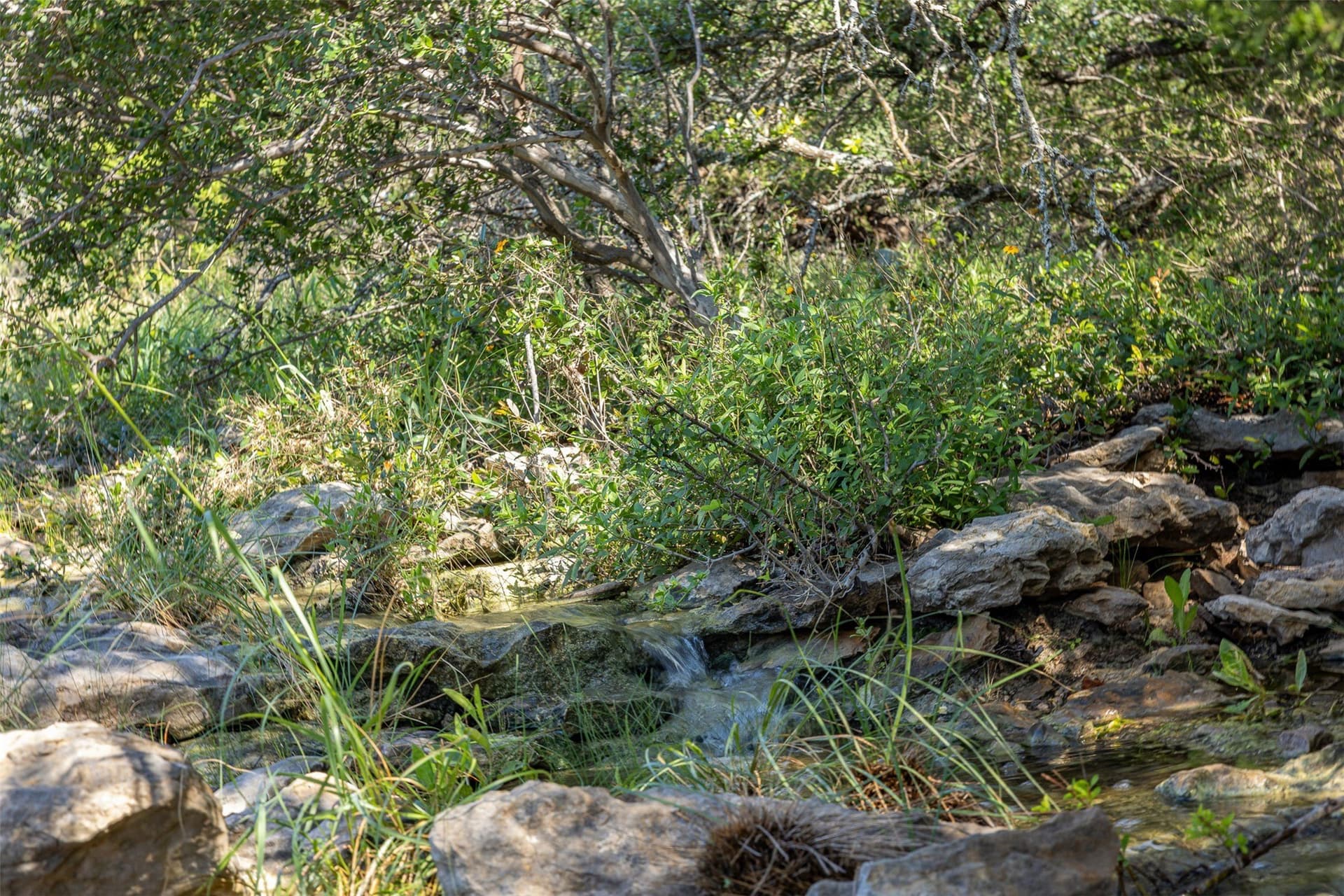 257 acres in McCulloch County - photo 25