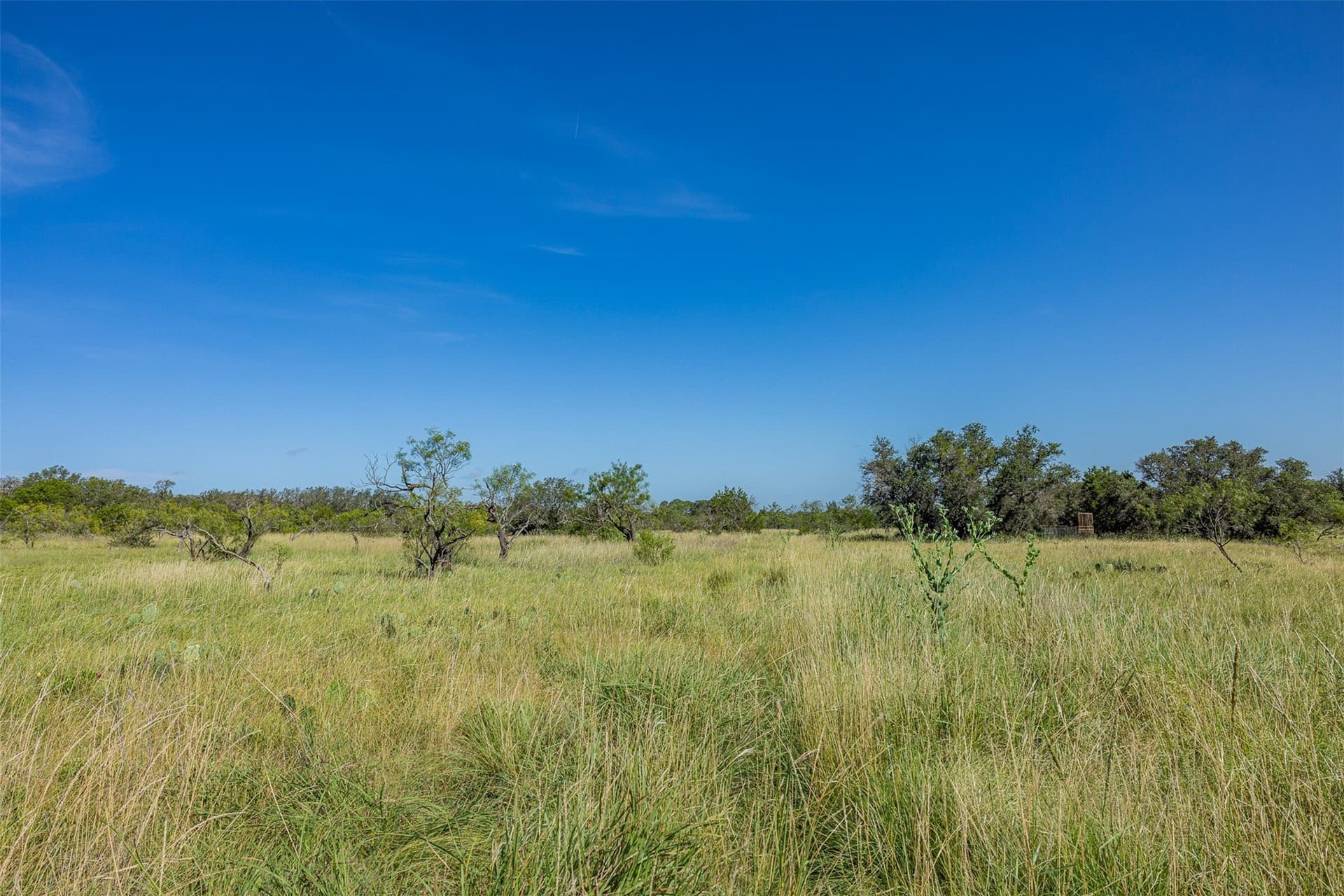 257 acres in McCulloch County - photo 16