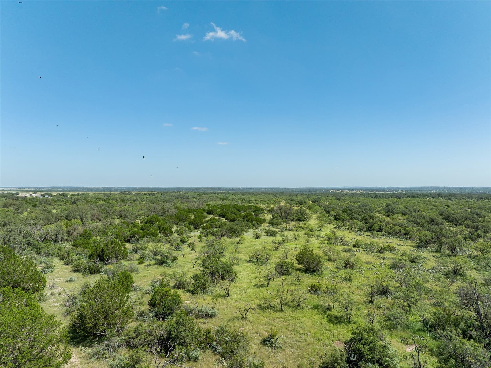 257 acres in McCulloch County - photo 35