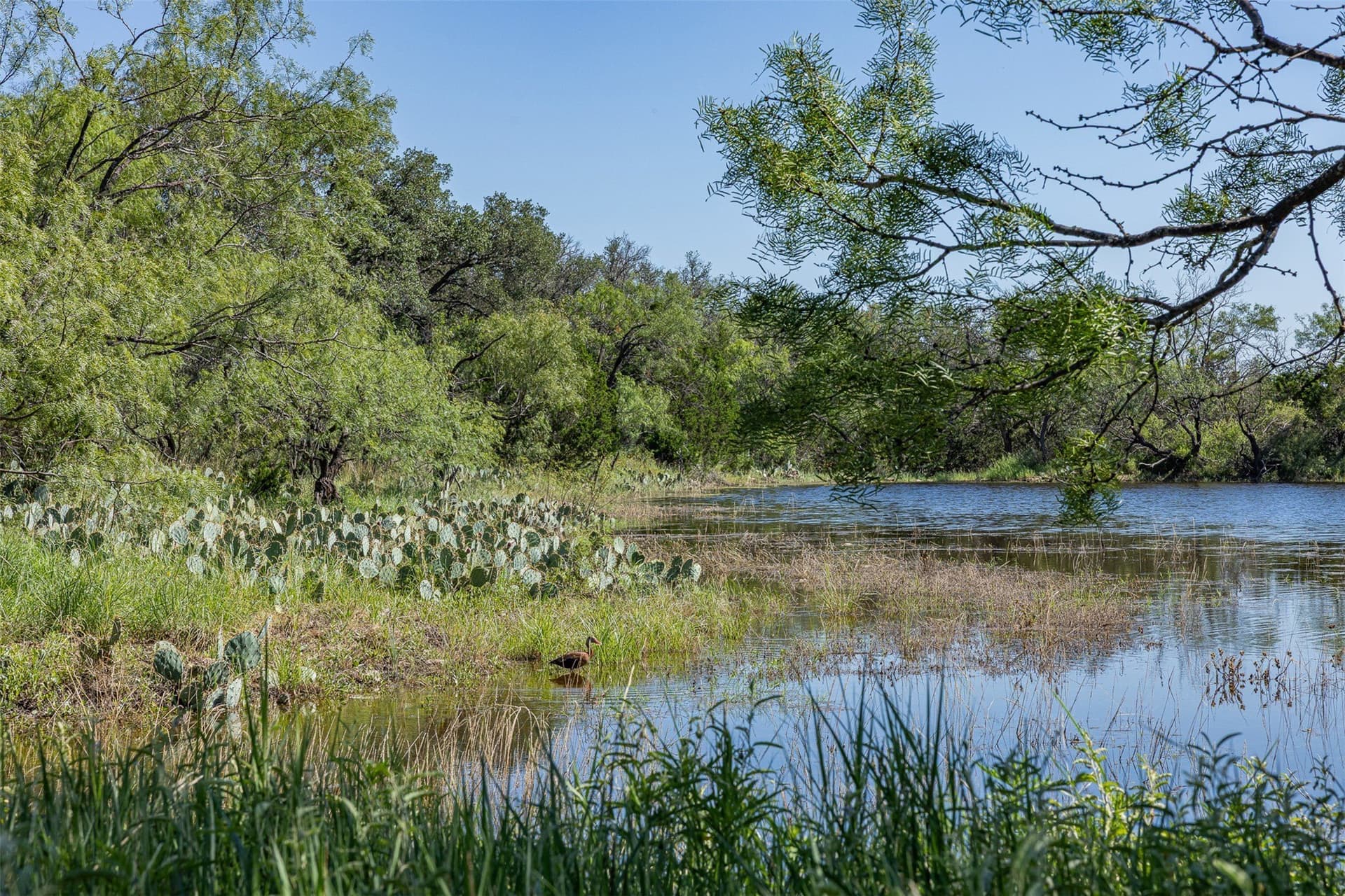 257 acres in McCulloch County - photo 34