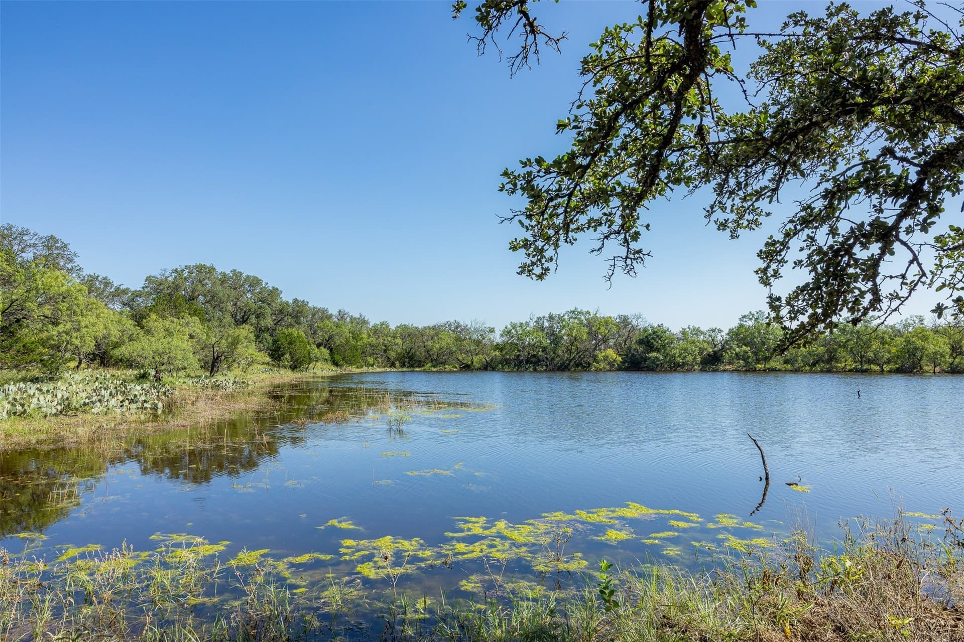 257 acres in McCulloch County - photo 2