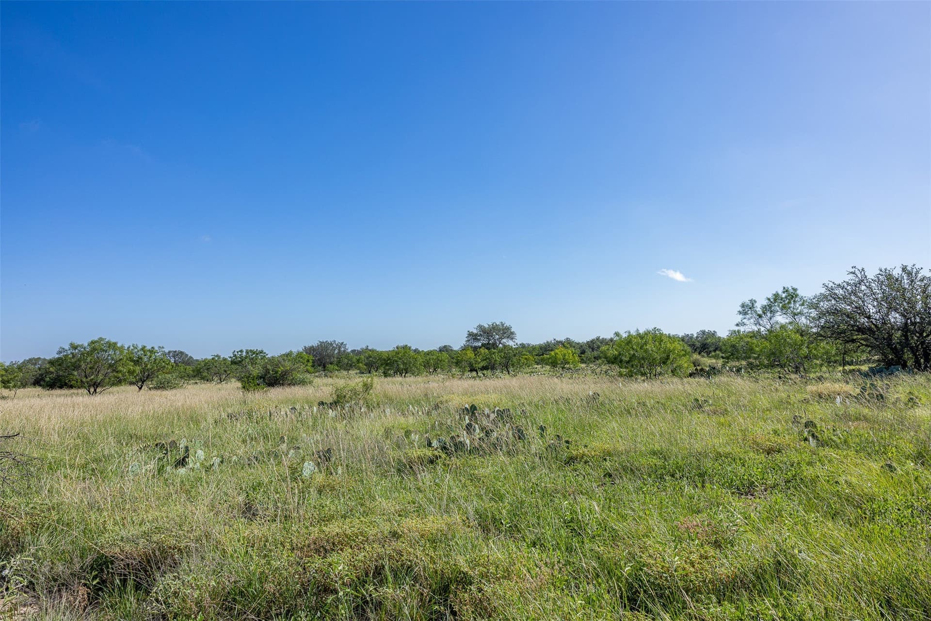 257 acres in McCulloch County - photo 39