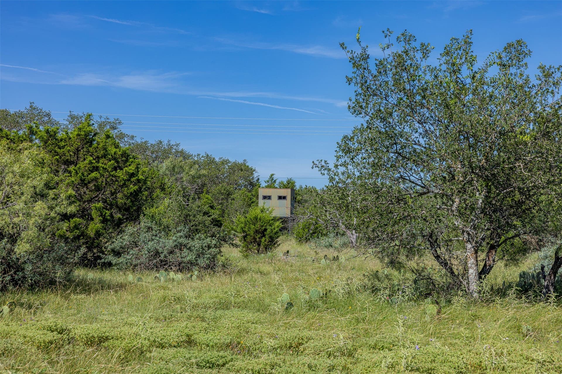 257 acres in McCulloch County - photo 31