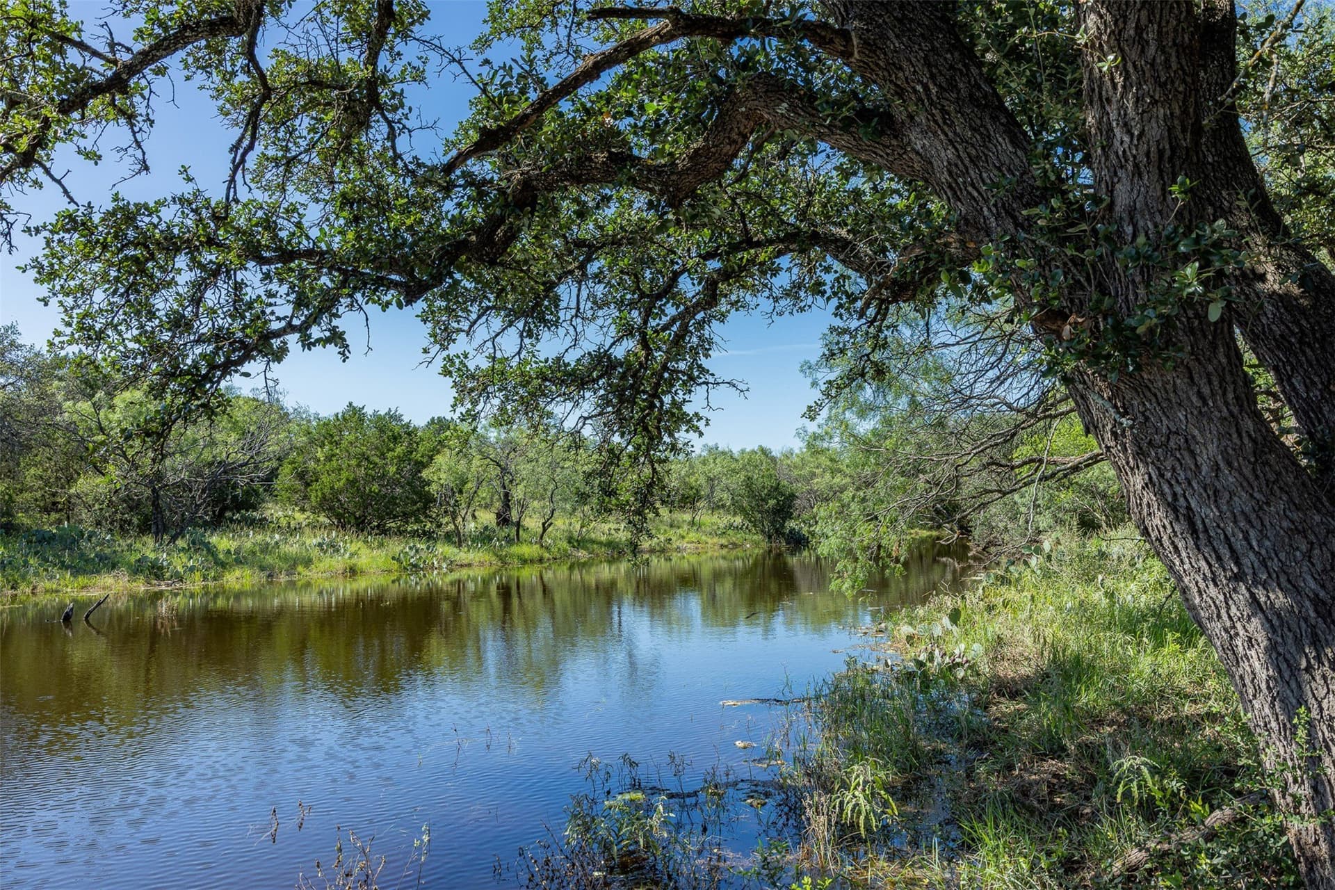257 acres in McCulloch County - photo 28