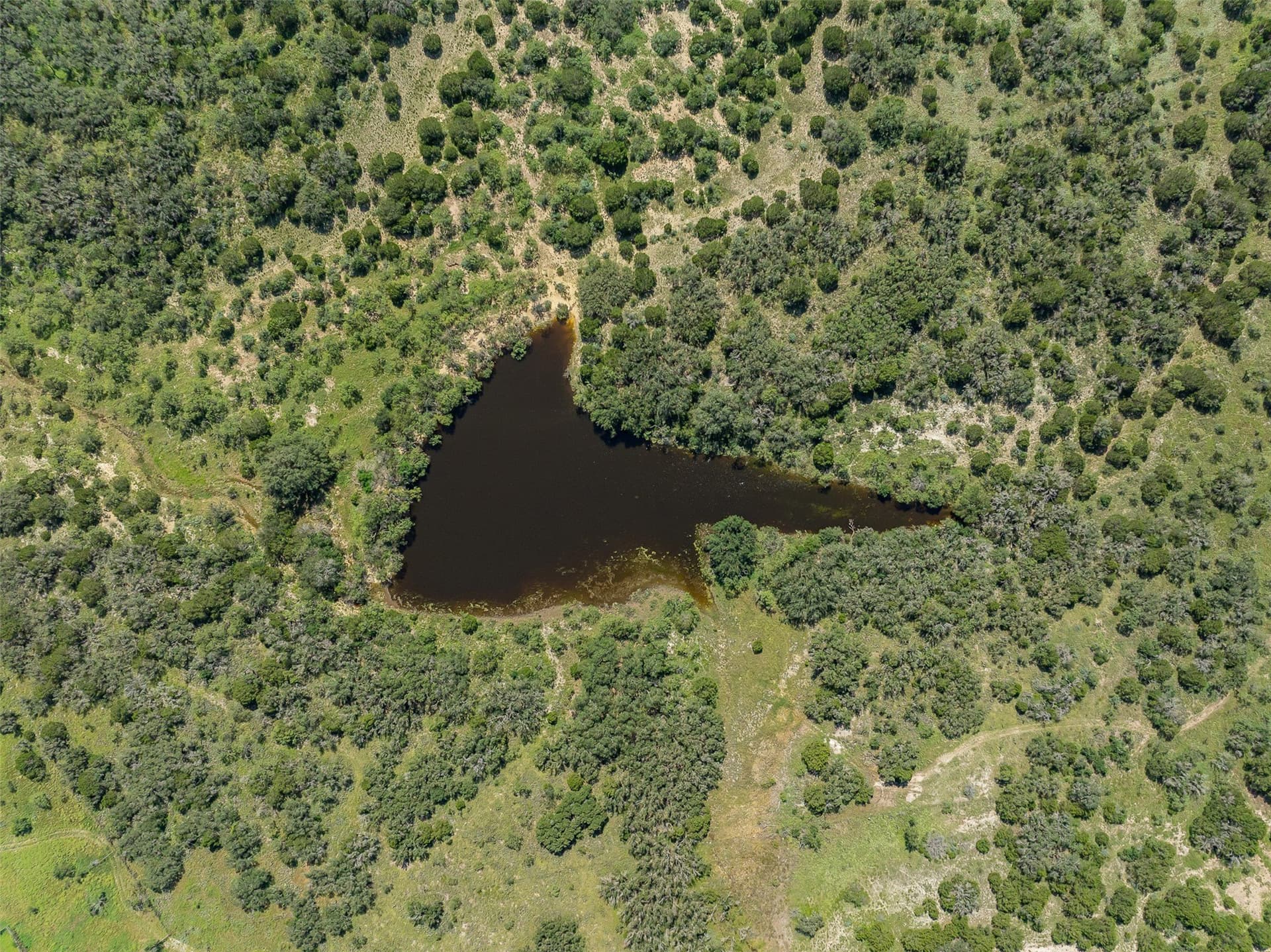 257 acres in McCulloch County - photo 29