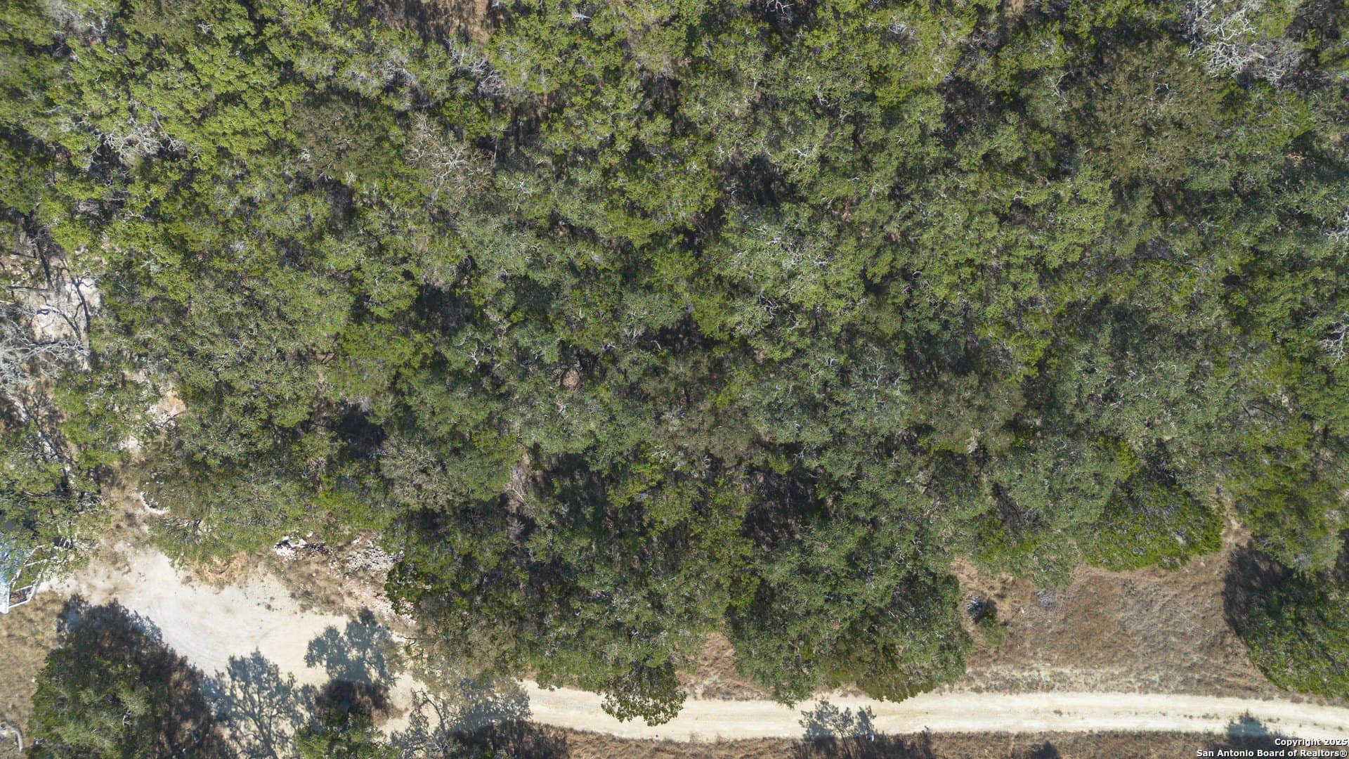 0.24 acres in Comal County - photo 12