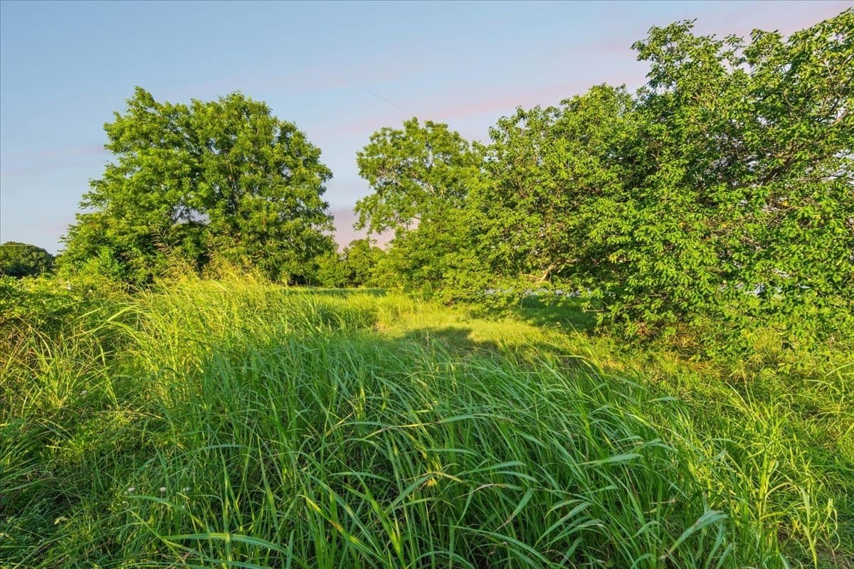 5.9 acres in Navarro County - photo 11