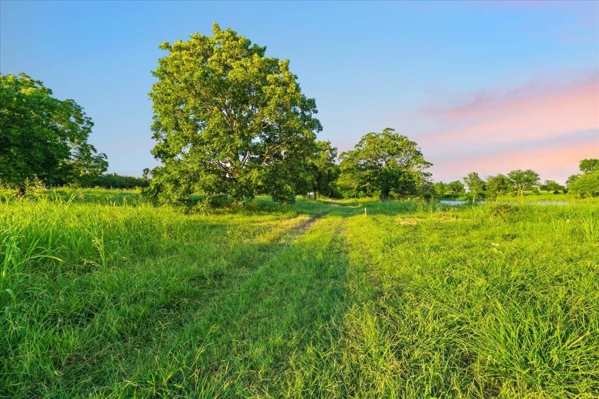 5.9 acres in Navarro County - photo 13