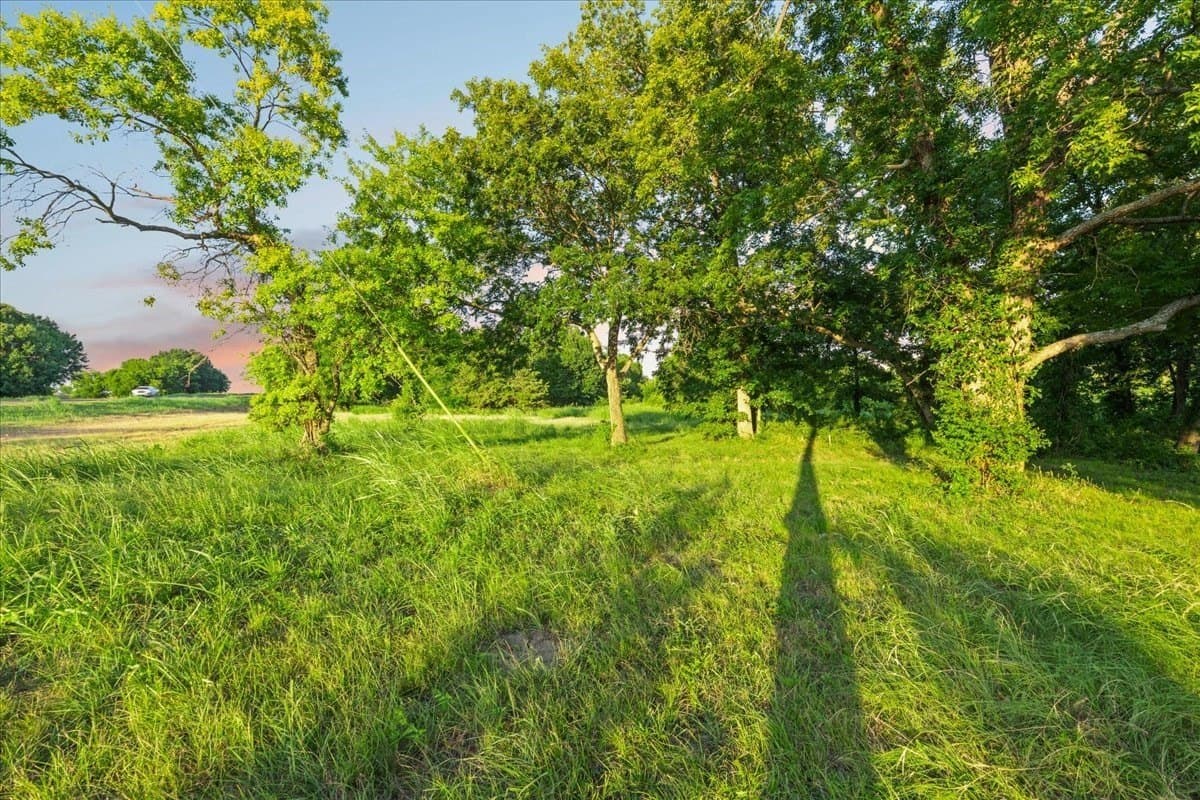 5.9 acres in Navarro County - photo 14