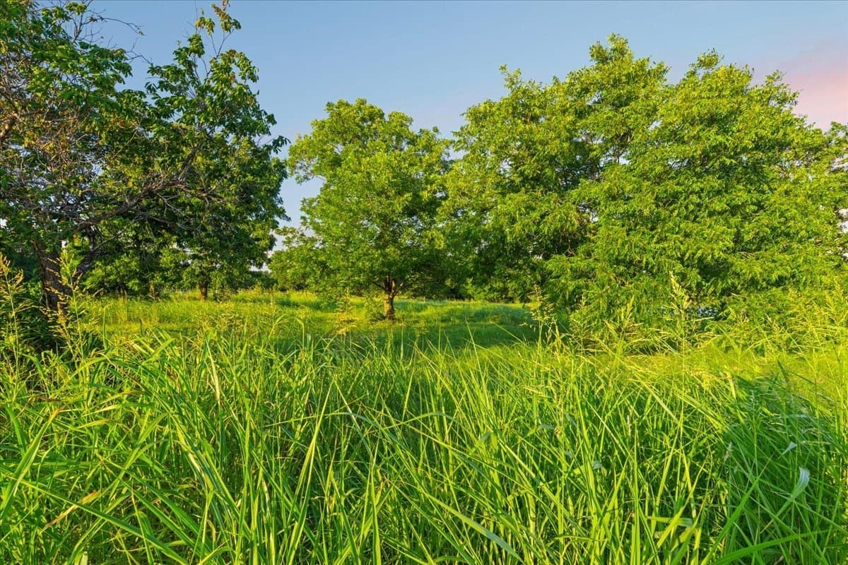 5.9 acres in Navarro County - photo 12