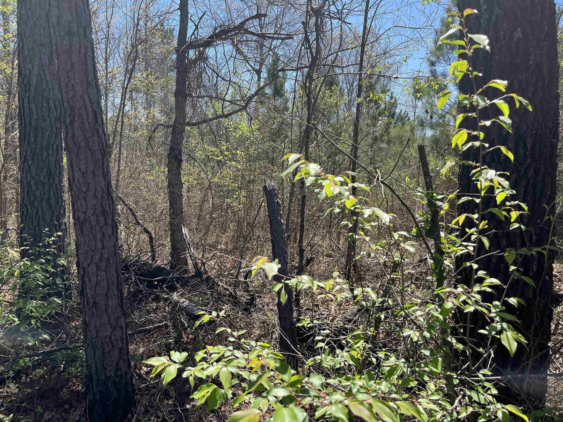 19.8 acres in Harrison County