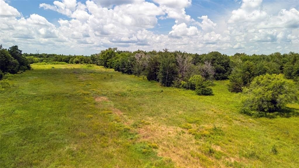 10 acres in Freestone County gallery image 4