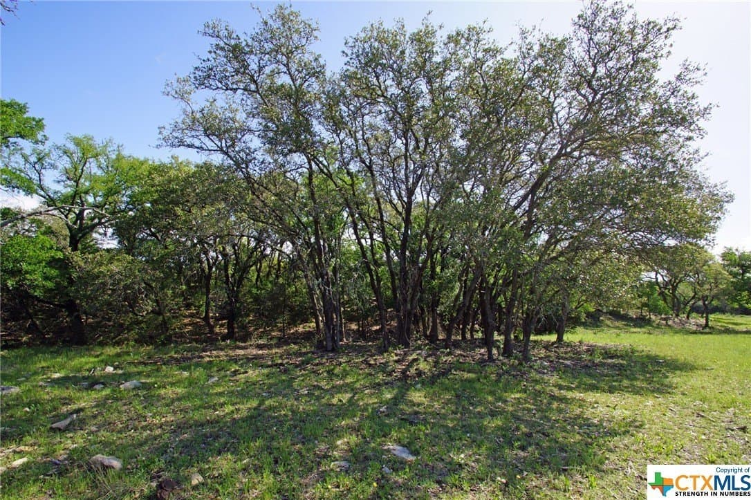 27.53 acres in Burnet County - photo 14