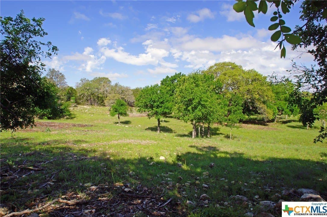 27.53 acres in Burnet County gallery image 3