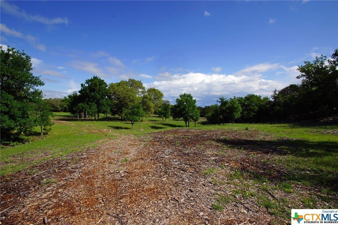 27.53 acres in Burnet County - photo 10
