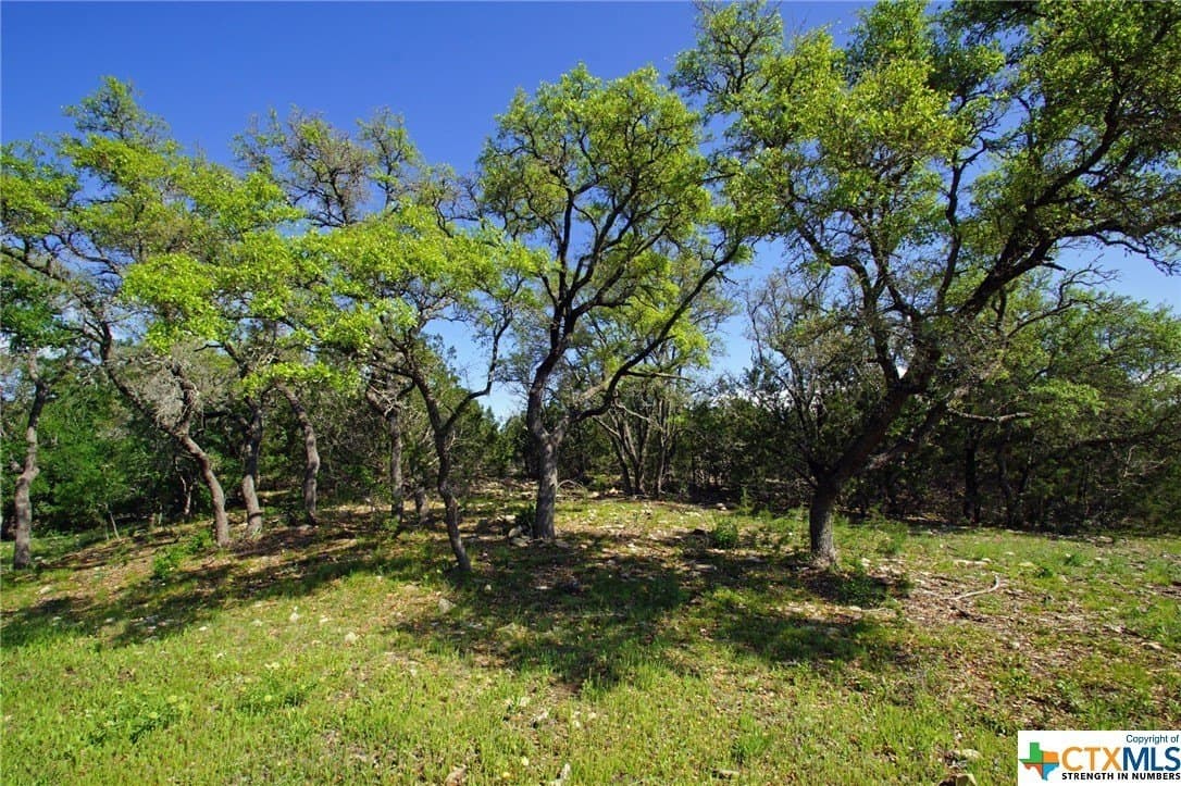 27.53 acres in Burnet County - photo 17