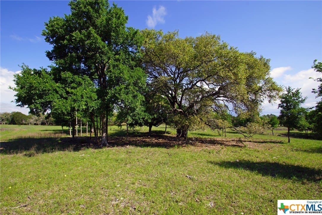 27.53 acres in Burnet County gallery image 2