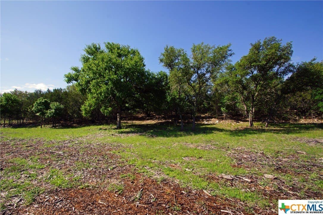 27.53 acres in Burnet County gallery image 4