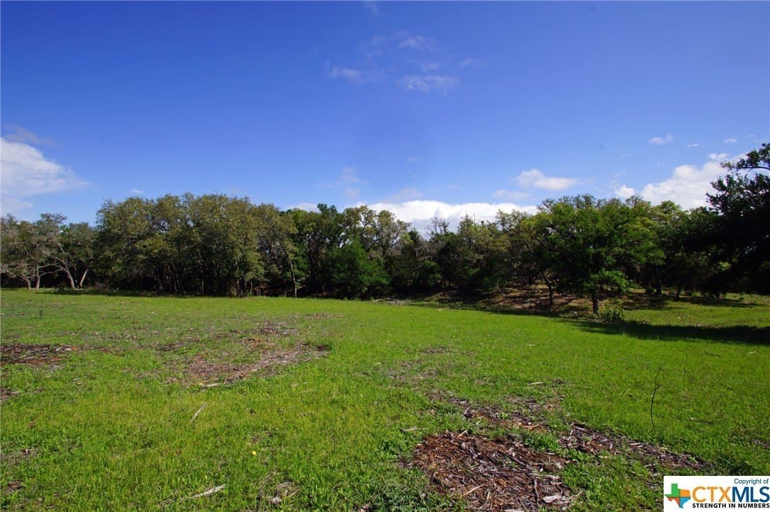 27.53 acres in Burnet County - photo 13