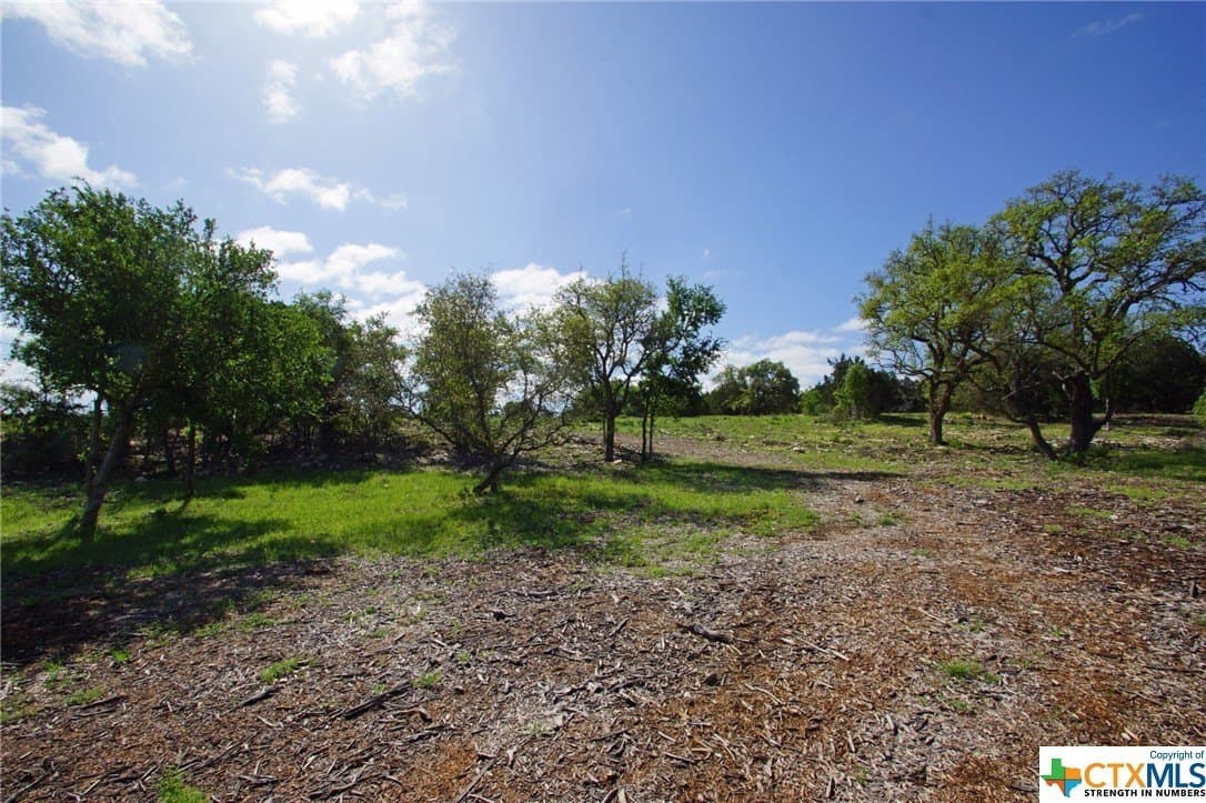 27.53 acres in Burnet County - photo 12