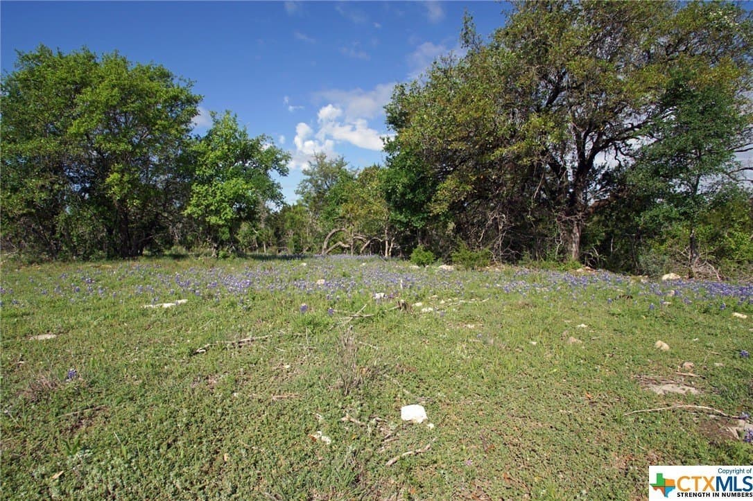 27.53 acres in Burnet County - photo 9