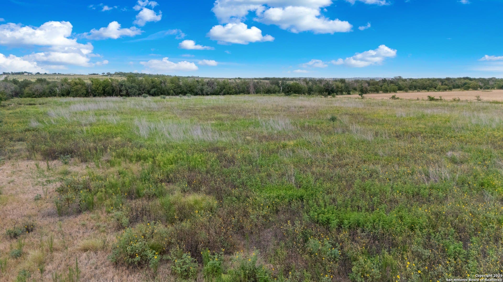 20.36 acres in Guadalupe County featured view