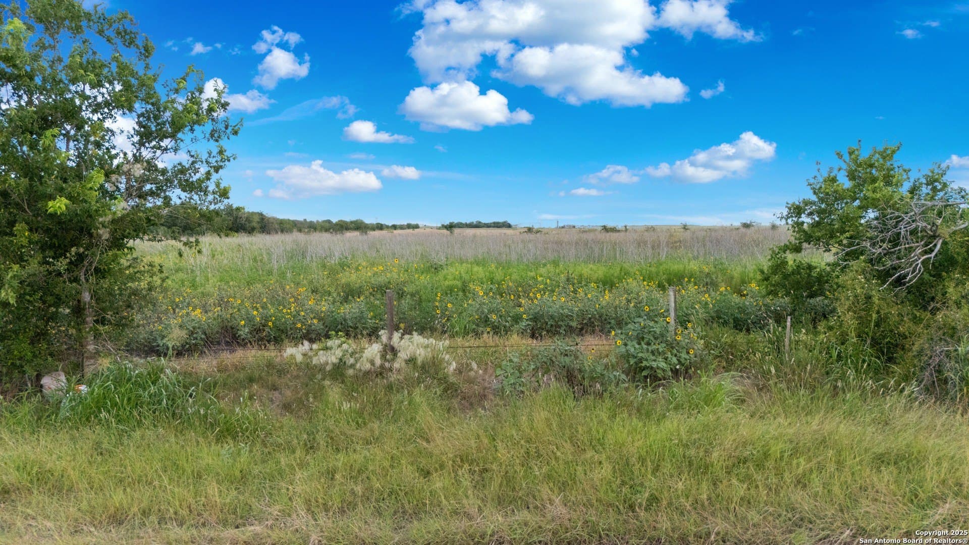 20.36 acres in Guadalupe County gallery image 2