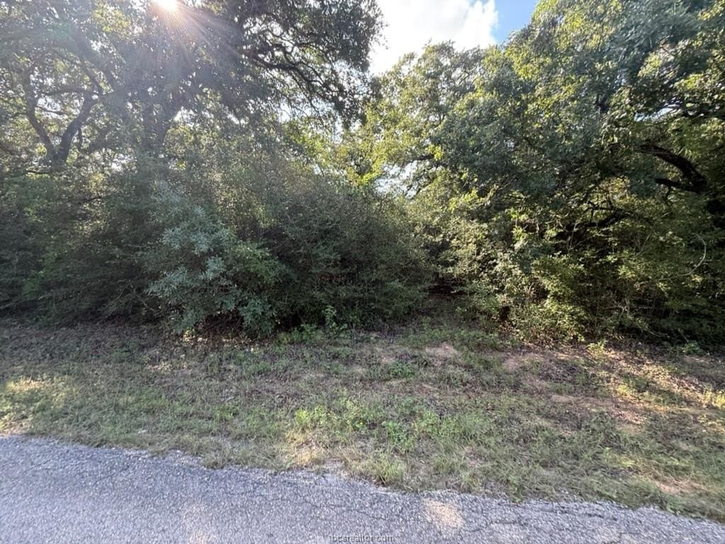 0.29 acres in Leon County - photo 7