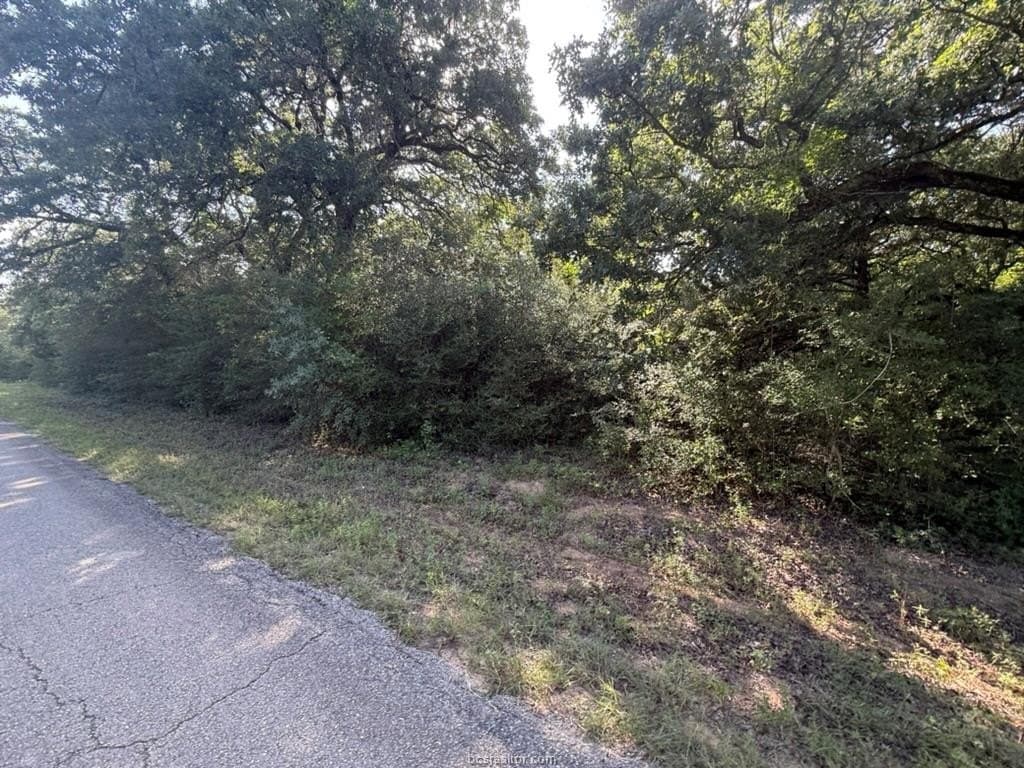 0.29 acres in Leon County featured view