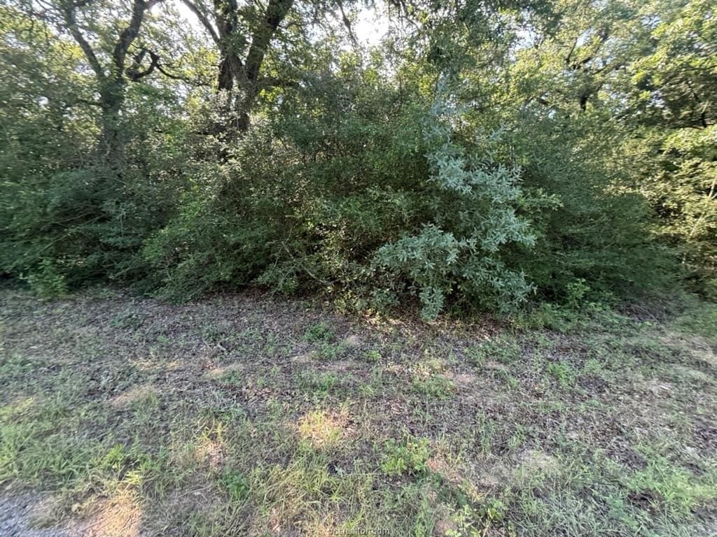0.29 acres in Leon County - photo 9