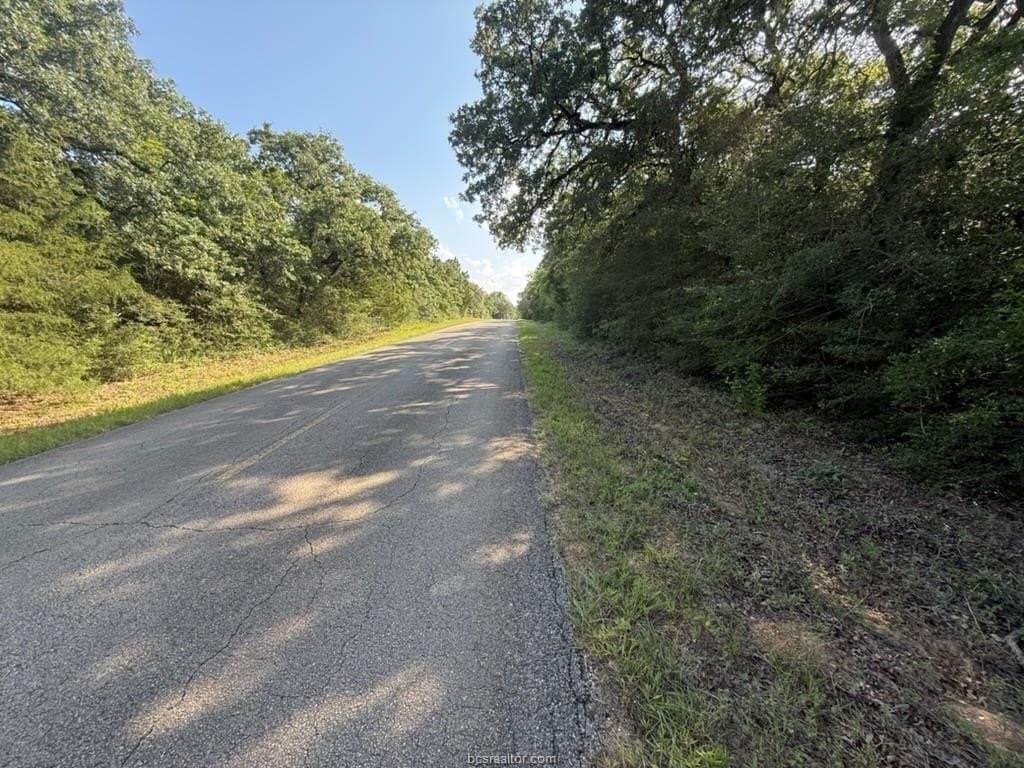 0.29 acres in Leon County gallery image 2