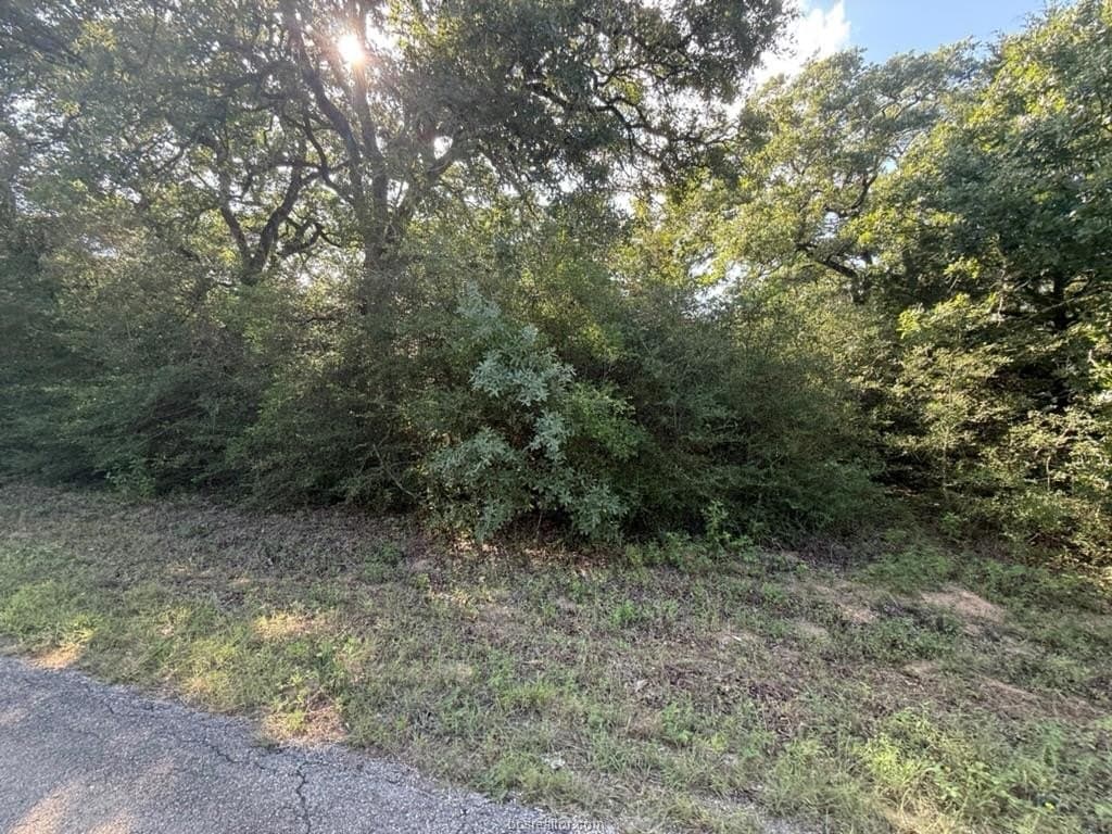 0.29 acres in Leon County gallery image 4