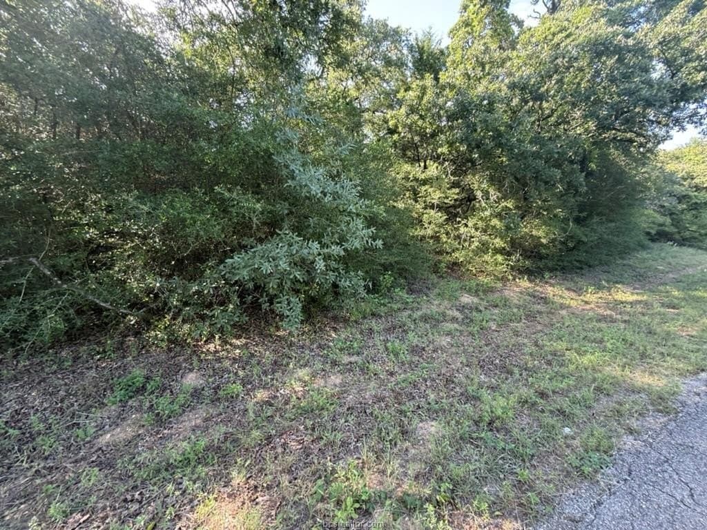 0.29 acres in Leon County gallery image 3