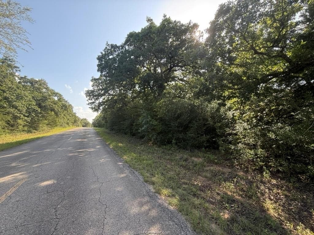 0.29 acres in Leon County - photo 6