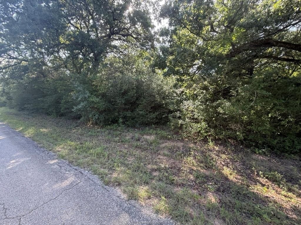 0.29 acres in Leon County - photo 8